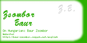 zsombor baur business card
